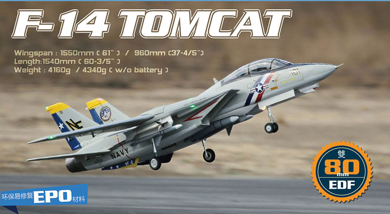 Freewing F-14 Tomcat Twin 80mm EDF Jet PNP RC Airplane