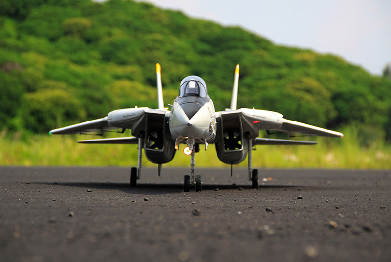 Freewing F-14 Tomcat Twin 80mm EDF Jet PNP RC Airplane