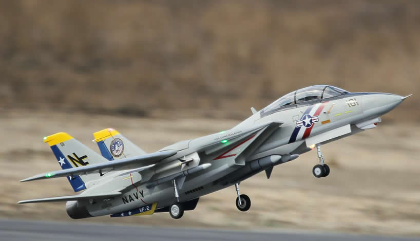 Freewing F-14 V2 Tomcat Twin 80mm EDF Jet PNP RC Airplane