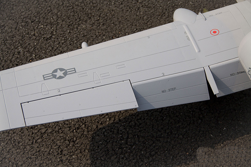 Freewing A-10 Thunderbolt II Super Scale Twin 80mm EDF Jet RC airplane 