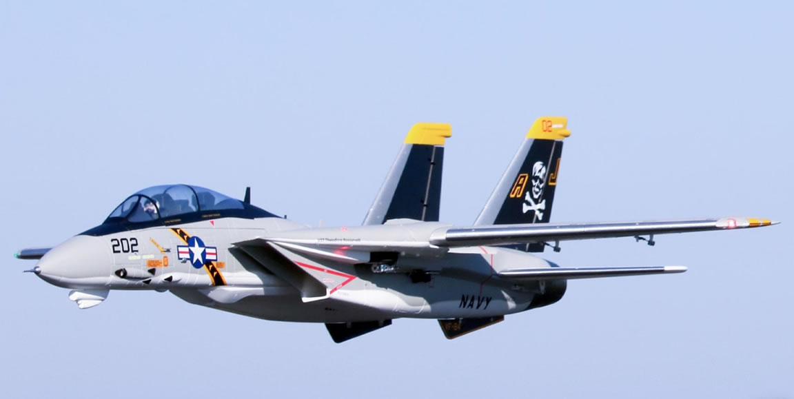 Freewing F-14 Tomcat Twin 64mm EDF Jet