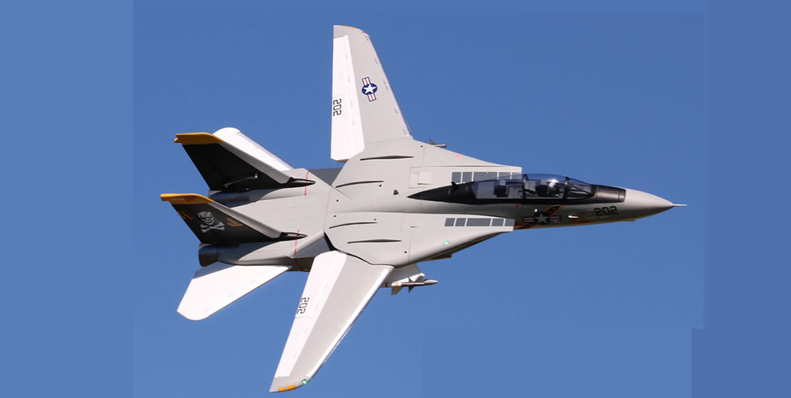 Freewing F-14 Tomcat Twin 64mm EDF Jet